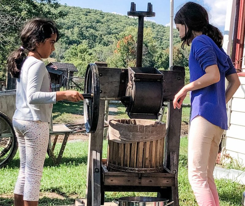 Weekly Photo: 3rd Grade Farm Trip