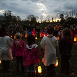 2017-Martinmas-Lantern-Walk-Grades