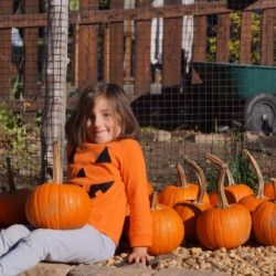 Fall-Fair-2017-Khloe-and-pumpkins-e1543373309254